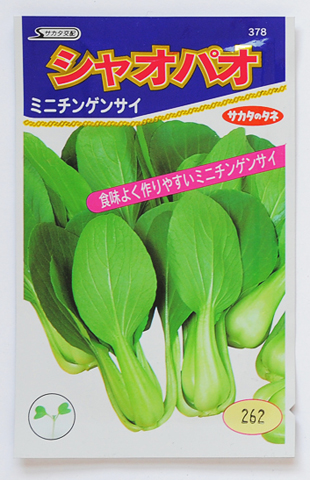 ミニチンゲン菜　シャオパオ