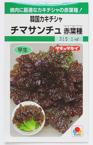 韓国カキシャ　チマサンチュ（赤葉）