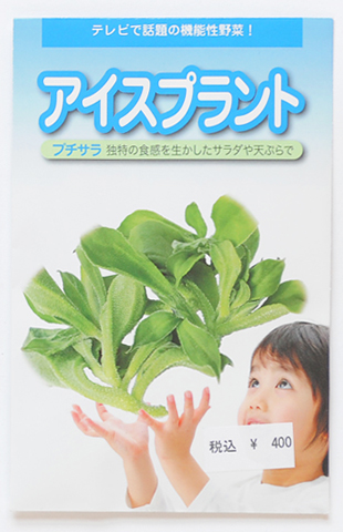 アイスプラント プチサラ