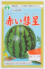 大玉スイカ 赤い彗星