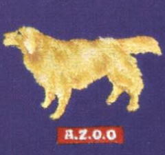 わんシリーズＴシャツ　ゴールデンレトリーバー