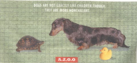 グラフィックアートＴシャツ　ダックスフンド