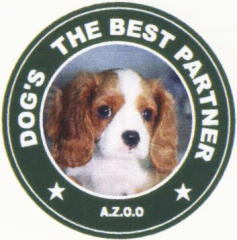 パピィシリーズＴシャツ　キャバリア