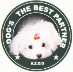 パピィシリーズＴシャツ　マルチーズ