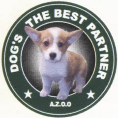 パピィシリーズＴシャツ　コーギー