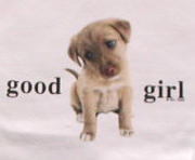 トレーナー　ラブラドールレトリーバー　子犬