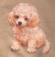 トレーナー　トイプードル