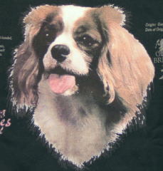 トレーナー（前ファスナー付）キングチャールズスパニエル