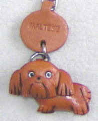 プチワンちゃん　マルチーズ