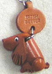 プチワンちゃん　アイリッシュセター