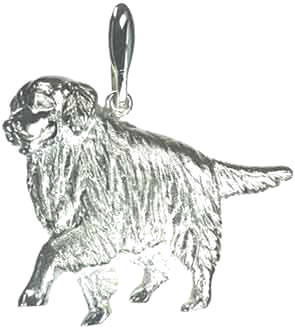 ゴールデンレトリーバー　Ａ　［ＳＩＬＶＥＲ］