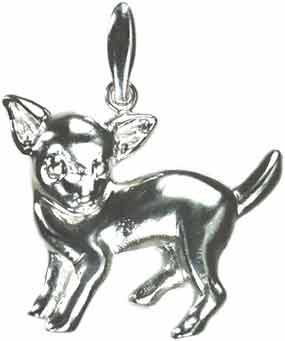 チワワ（スムース）　［ＳＩＬＶＥＲ］