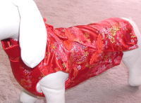 チャイナ風ドレス（レッド）