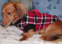 ＜ミニヨン＞ボアカラーコート　ピンク