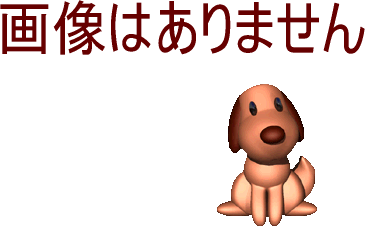 画像がありません