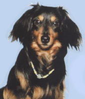 お揃いのアクセサリー「スイートチャーム」