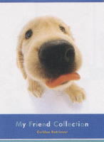 メモパッド　ゴールデンレトリーバー