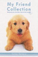 はがき箋　ゴールデンレトリーバー