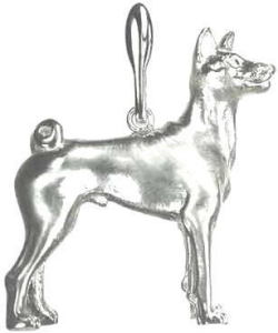 バセンジー　［ＳＩＬＶＥＲ］