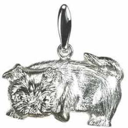 シーズー　Ｃ　［ＳＩＬＶＥＲ］