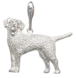 カーリーコーテッドレトリーバー　［ＳＩＬＶＥＲ］