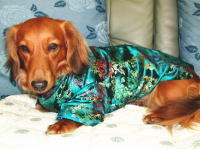 チャイナ風ドレス（グリーン）