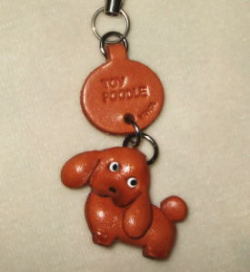 プチワンちゃん　トイプードル