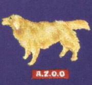 わんシリーズＴシャツ　ゴールデンレトリーバー