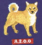 わんシリーズＴシャツ　柴犬