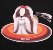 ペットキャラクターＴシャツ　シーズー