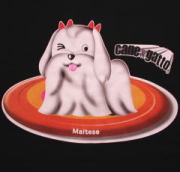 ペットキャラクターＴシャツ　マルチーズ