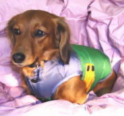 デザインダウンジャケット