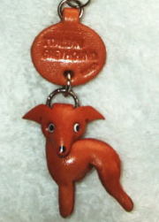 プチワンちゃん　イタリアングレーハウンド