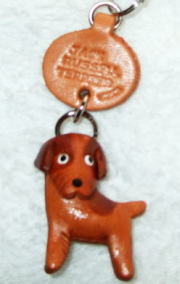 プチワンちゃん　ジャックラッセルテリア