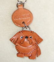 プチワンちゃん　ペキニーズ