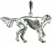 サルーキ　［ＳＩＬＶＥＲ］