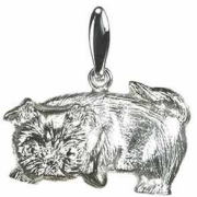 シーズー　Ｃ　［ＳＩＬＶＥＲ］