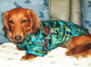 チャイナ風ドレス（グリーン）