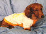 ボーダーユーズドプリントパーカー