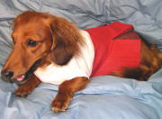 ボックスプリーツワンピース