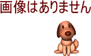画像がありません