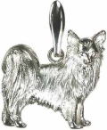 チワワ（ロングヘア）Ａ　［ＳＩＬＶＥＲ］
