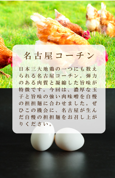 名古屋コーチン