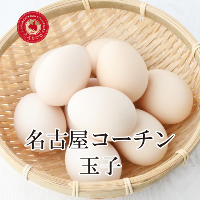 名古屋コーチンの玉子