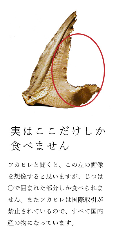 フカヒレの可食部