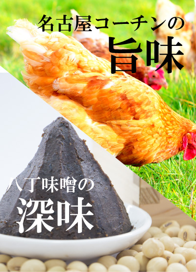 名古屋コーチンと八丁味噌を使用した