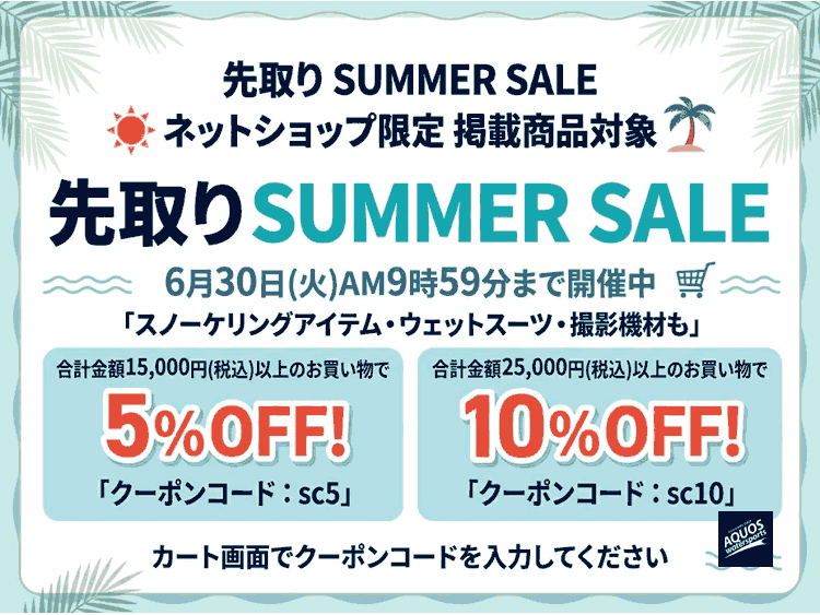 ネット割引クーポン