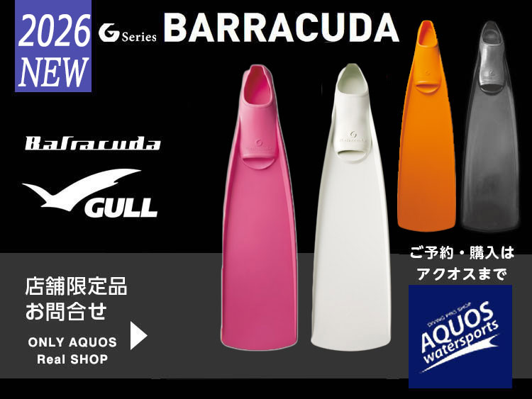 バラクーダ