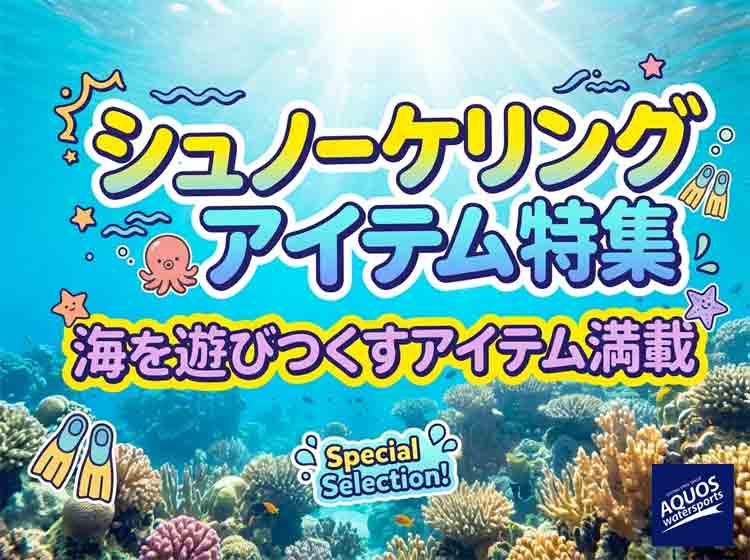 ダイビング・シュノーケリング、ラッシュガード、マリン用品買うなら