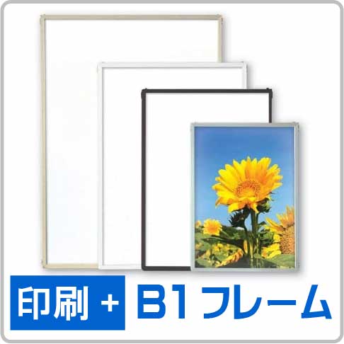 エコイレパネB1-01